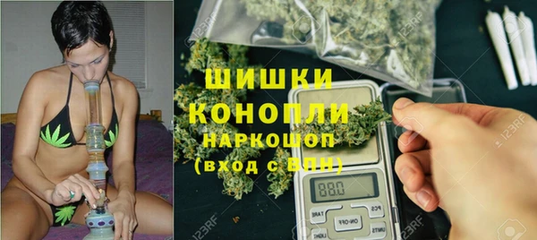 a pvp Няндома