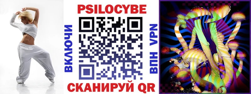 купить наркоту  Владимир  Галлюциногенные грибы Magic Shrooms 