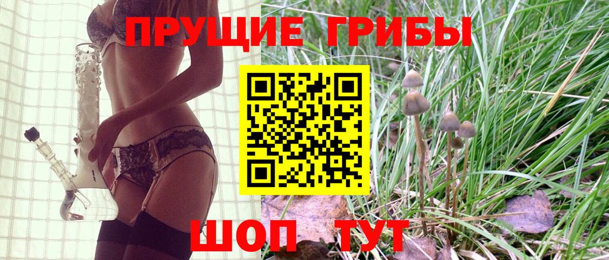 Владимир  Галлюциногенные грибы мухоморы  Псилоцибиновые грибы прущие грибы  где купить наркотик  Вход с VPN 